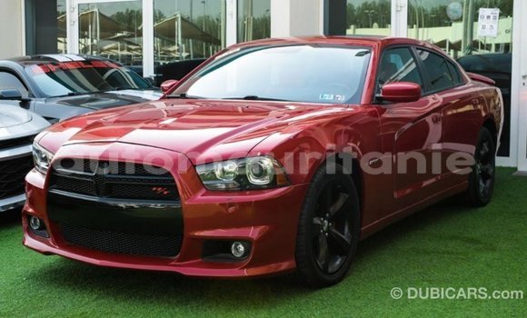 Acheter Import Voiture Dodge Charger Rouge à Import - Dubai, Adrar Acheter Import Voiture Dodge Charger Rouge à Import - Dubai, Adrar