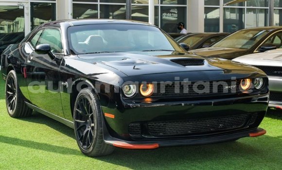 Buy Import Dodge Challenger Black Car in Import - Dubai in Adrar