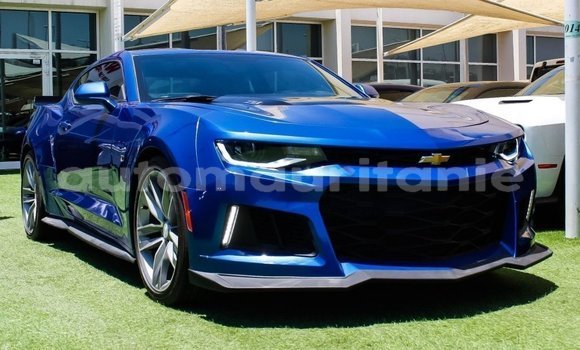 Buy Import Chevrolet Camaro Blue Car in Import - Dubai in Adrar