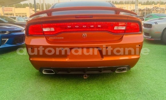 Acheter Import Voiture Dodge Charger Autre à Import - Dubai, Adrar Acheter Import Voiture Dodge Charger Autre à Import - Dubai, Adrar