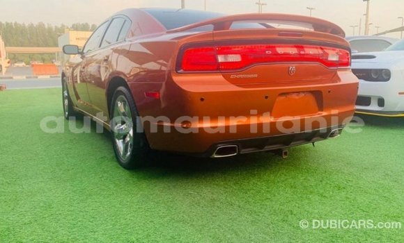 Acheter Import Voiture Dodge Charger Autre à Import - Dubai, Adrar Acheter Import Voiture Dodge Charger Autre à Import - Dubai, Adrar