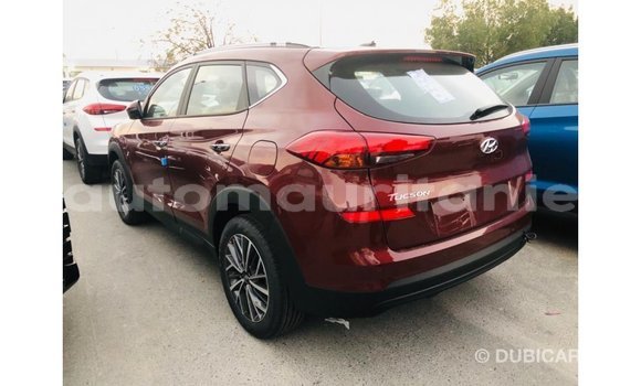 Buy Import Hyundai Tucson Other Car in Import - Dubai in Adrar Buy Import Hyundai Tucson Other Car in Import - Dubai in Adrar