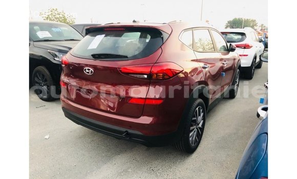 Buy Import Hyundai Tucson Other Car in Import - Dubai in Adrar Buy Import Hyundai Tucson Other Car in Import - Dubai in Adrar
