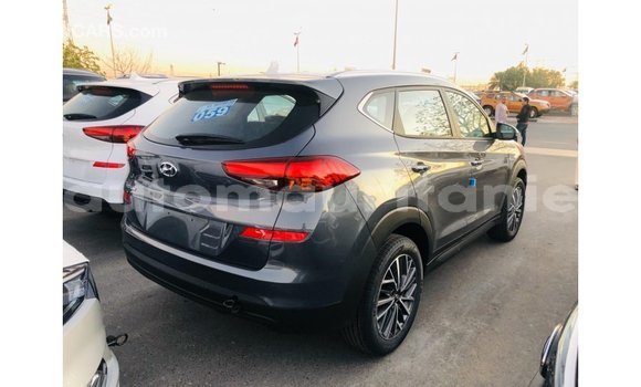 Buy Import Hyundai Tucson Other Car in Import - Dubai in Adrar Buy Import Hyundai Tucson Other Car in Import - Dubai in Adrar