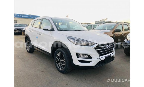 Buy Import Hyundai Tucson White Car in Import - Dubai in Adrar Buy Import Hyundai Tucson White Car in Import - Dubai in Adrar