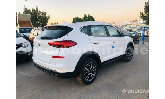 Buy Import Hyundai Tucson White Car in Import - Dubai in Adrar Buy Import Hyundai Tucson White Car in Import - Dubai in Adrar