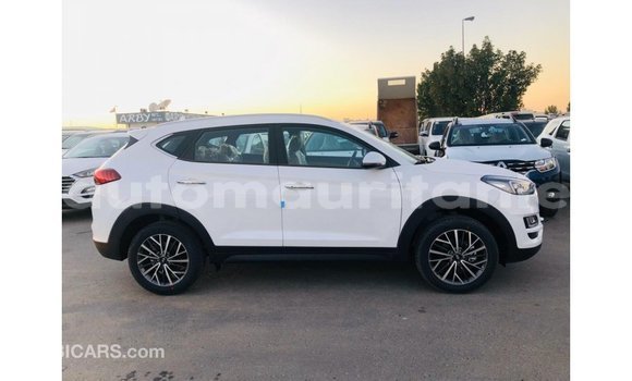 Buy Import Hyundai Tucson White Car in Import - Dubai in Adrar Buy Import Hyundai Tucson White Car in Import - Dubai in Adrar