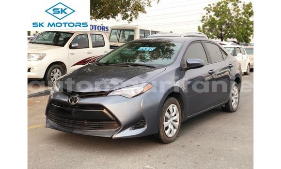 Buy Import Toyota Corolla Other Car in Import - Dubai in Adrar