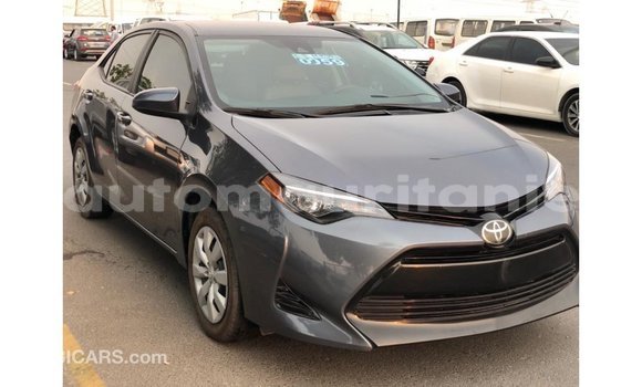 Buy Import Toyota Corolla Other Car in Import - Dubai in Adrar Buy Import Toyota Corolla Other Car in Import - Dubai in Adrar