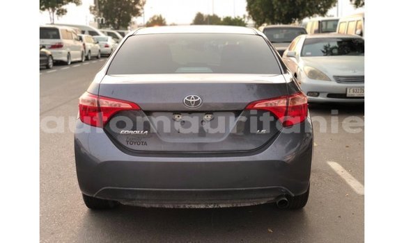 Buy Import Toyota Corolla Other Car in Import - Dubai in Adrar Buy Import Toyota Corolla Other Car in Import - Dubai in Adrar