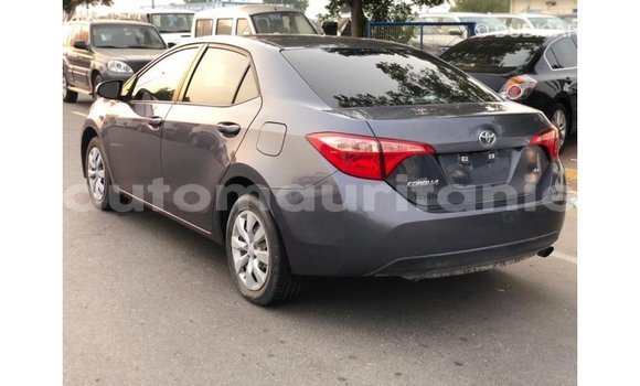 Buy Import Toyota Corolla Other Car in Import - Dubai in Adrar Buy Import Toyota Corolla Other Car in Import - Dubai in Adrar