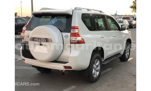 Buy Import Toyota Prado White Car in Import - Dubai in Adrar Buy Import Toyota Prado White Car in Import - Dubai in Adrar