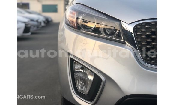 Buy Import Kia Sorento Other Car in Import - Dubai in Adrar Buy Import Kia Sorento Other Car in Import - Dubai in Adrar