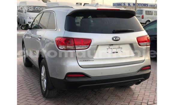 Buy Import Kia Sorento Other Car in Import - Dubai in Adrar Buy Import Kia Sorento Other Car in Import - Dubai in Adrar
