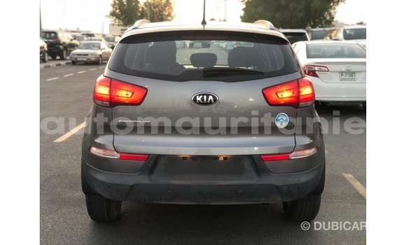 Buy Import Kia Sportage Other Car in Import - Dubai in Adrar Buy Import Kia Sportage Other Car in Import - Dubai in Adrar