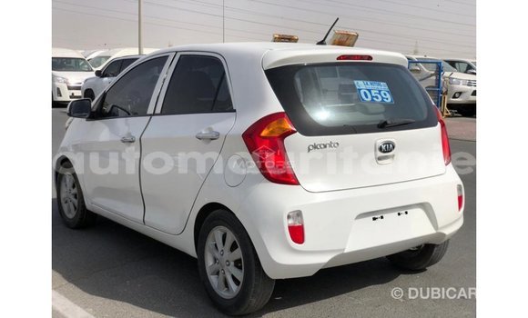 Buy Import Kia Picanto White Car in Import - Dubai in Adrar Buy Import Kia Picanto White Car in Import - Dubai in Adrar