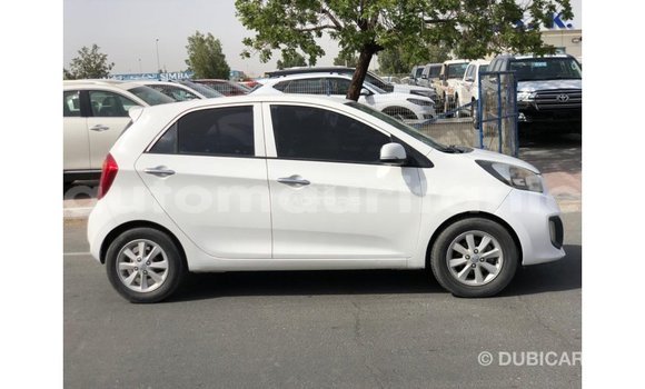 Buy Import Kia Picanto White Car in Import - Dubai in Adrar Buy Import Kia Picanto White Car in Import - Dubai in Adrar