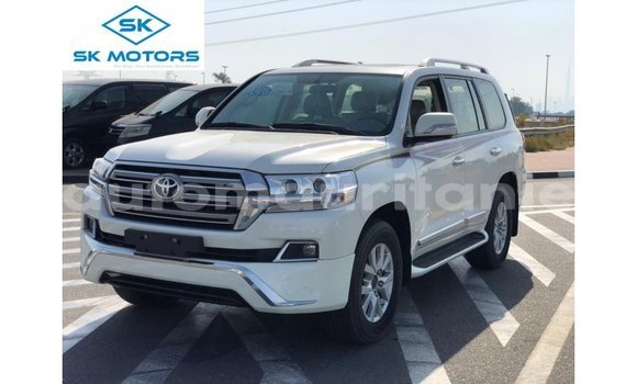 Buy Import Toyota Land Cruiser White Car in Import - Dubai in Adrar