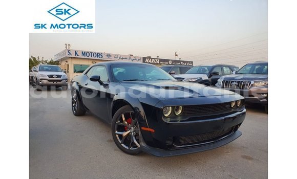 Acheter Import Voiture Dodge Challenger Noir à Import - Dubai, Adrar