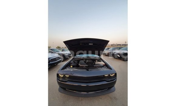 Buy Import Dodge Challenger Black Car in Import - Dubai in Adrar Buy Import Dodge Challenger Black Car in Import - Dubai in Adrar