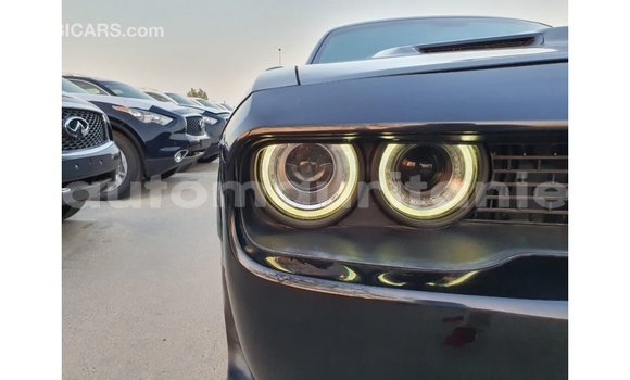 Buy Import Dodge Challenger Black Car in Import - Dubai in Adrar Buy Import Dodge Challenger Black Car in Import - Dubai in Adrar