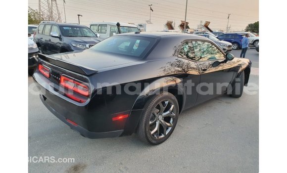 Buy Import Dodge Challenger Black Car in Import - Dubai in Adrar Buy Import Dodge Challenger Black Car in Import - Dubai in Adrar