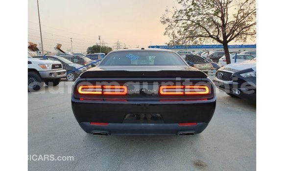 Buy Import Dodge Challenger Black Car in Import - Dubai in Adrar Buy Import Dodge Challenger Black Car in Import - Dubai in Adrar