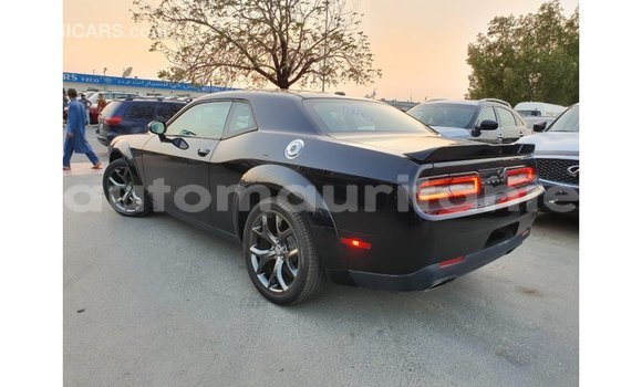 Buy Import Dodge Challenger Black Car in Import - Dubai in Adrar Buy Import Dodge Challenger Black Car in Import - Dubai in Adrar