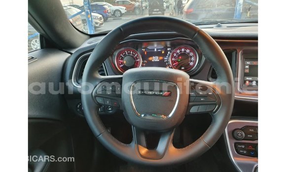 Buy Import Dodge Challenger Black Car in Import - Dubai in Adrar Buy Import Dodge Challenger Black Car in Import - Dubai in Adrar