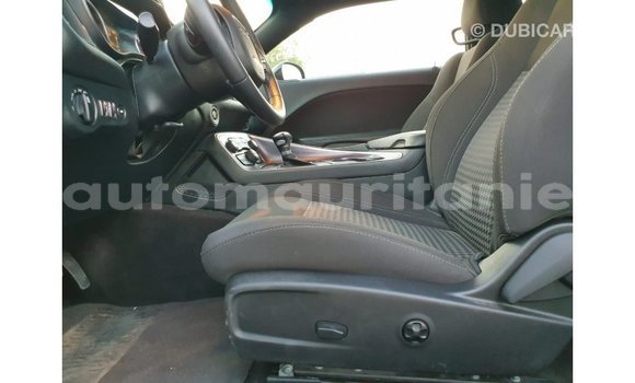 Buy Import Dodge Challenger Black Car in Import - Dubai in Adrar Buy Import Dodge Challenger Black Car in Import - Dubai in Adrar