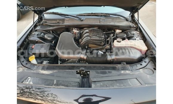 Buy Import Dodge Challenger Black Car in Import - Dubai in Adrar Buy Import Dodge Challenger Black Car in Import - Dubai in Adrar