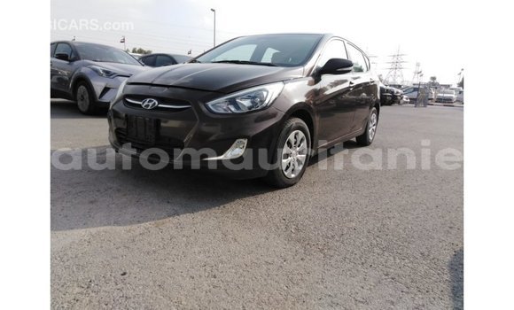 Acheter Import Voiture Hyundai Accent Marron à Import - Dubai, Adrar Acheter Import Voiture Hyundai Accent Marron à Import - Dubai, Adrar