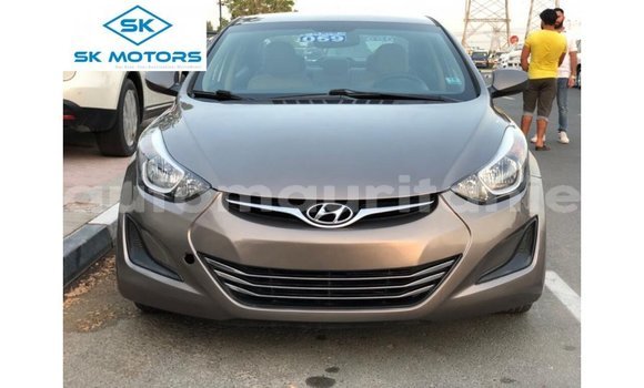 Buy Import Hyundai Elantra Brown Car in Import - Dubai in Adrar Buy Import Hyundai Elantra Brown Car in Import - Dubai in Adrar