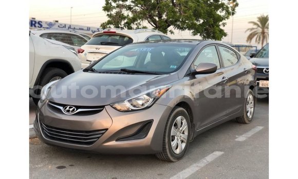 Buy Import Hyundai Elantra Brown Car in Import - Dubai in Adrar Buy Import Hyundai Elantra Brown Car in Import - Dubai in Adrar
