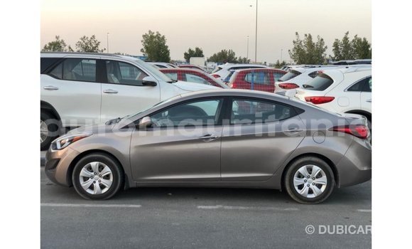 Buy Import Hyundai Elantra Brown Car in Import - Dubai in Adrar Buy Import Hyundai Elantra Brown Car in Import - Dubai in Adrar