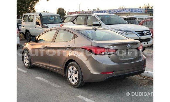 Buy Import Hyundai Elantra Brown Car in Import - Dubai in Adrar Buy Import Hyundai Elantra Brown Car in Import - Dubai in Adrar