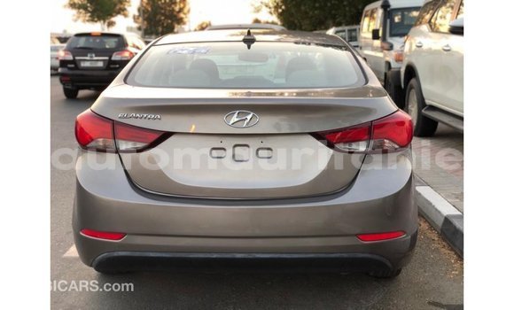 Buy Import Hyundai Elantra Brown Car in Import - Dubai in Adrar Buy Import Hyundai Elantra Brown Car in Import - Dubai in Adrar