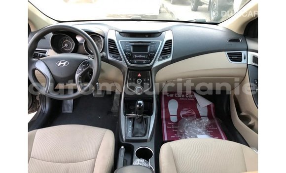 Buy Import Hyundai Elantra Brown Car in Import - Dubai in Adrar Buy Import Hyundai Elantra Brown Car in Import - Dubai in Adrar