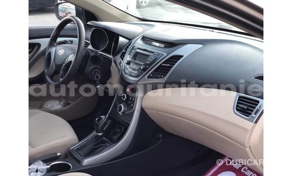Buy Import Hyundai Elantra Brown Car in Import - Dubai in Adrar Buy Import Hyundai Elantra Brown Car in Import - Dubai in Adrar