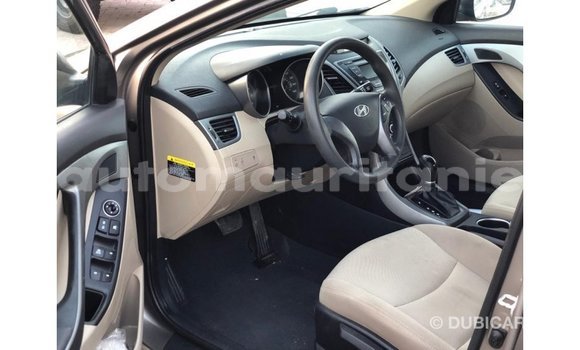 Buy Import Hyundai Elantra Brown Car in Import - Dubai in Adrar Buy Import Hyundai Elantra Brown Car in Import - Dubai in Adrar