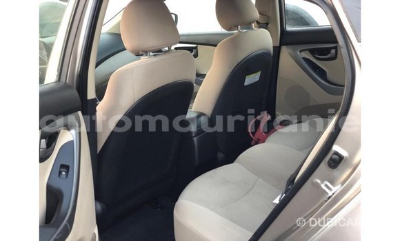 Buy Import Hyundai Elantra Brown Car in Import - Dubai in Adrar Buy Import Hyundai Elantra Brown Car in Import - Dubai in Adrar