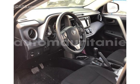 Buy Import Toyota HiAce Black Truck in Import - Dubai in Adrar Buy Import Toyota HiAce Black Truck in Import - Dubai in Adrar