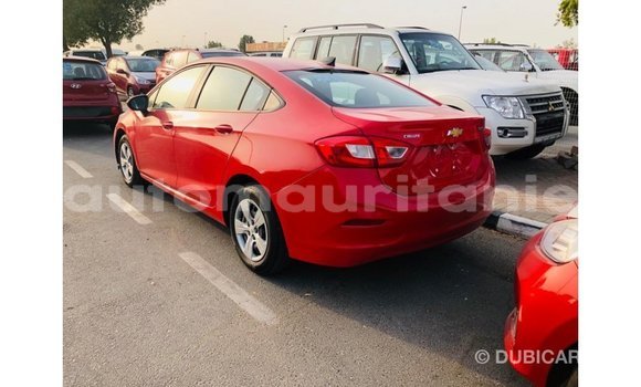 Buy Import Chevrolet Cruze Red Car in Import - Dubai in Adrar Buy Import Chevrolet Cruze Red Car in Import - Dubai in Adrar