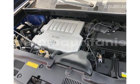 Buy Import Toyota Highlander Blue Car in Import - Dubai in Adrar Buy Import Toyota Highlander Blue Car in Import - Dubai in Adrar