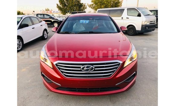 Buy Import Hyundai Sonata Red Car in Import - Dubai in Adrar Buy Import Hyundai Sonata Red Car in Import - Dubai in Adrar