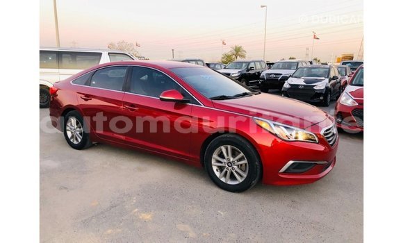 Buy Import Hyundai Sonata Red Car in Import - Dubai in Adrar Buy Import Hyundai Sonata Red Car in Import - Dubai in Adrar