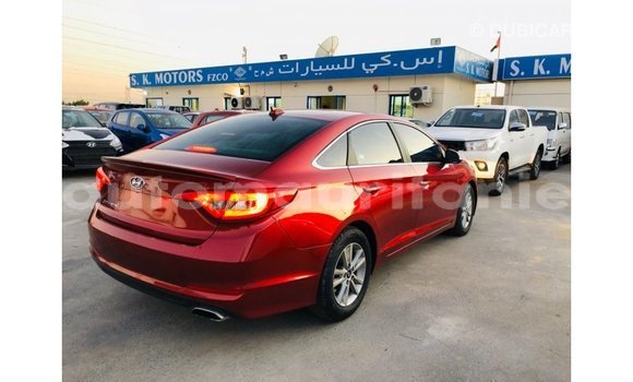 Buy Import Hyundai Sonata Red Car in Import - Dubai in Adrar Buy Import Hyundai Sonata Red Car in Import - Dubai in Adrar