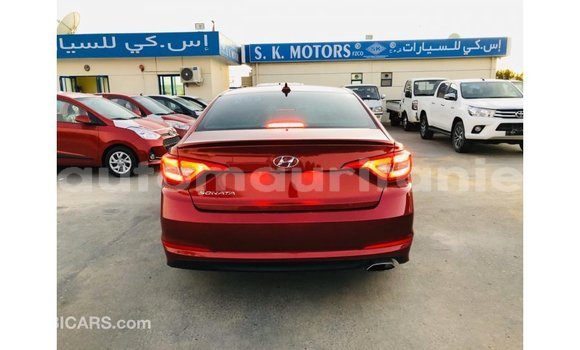 Buy Import Hyundai Sonata Red Car in Import - Dubai in Adrar Buy Import Hyundai Sonata Red Car in Import - Dubai in Adrar