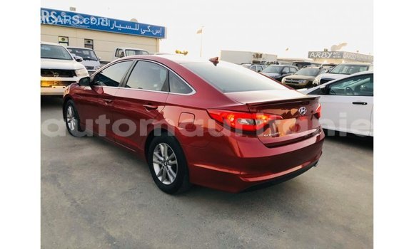 Buy Import Hyundai Sonata Red Car in Import - Dubai in Adrar Buy Import Hyundai Sonata Red Car in Import - Dubai in Adrar