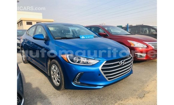 Buy Import Hyundai Elantra Blue Car in Import - Dubai in Adrar Buy Import Hyundai Elantra Blue Car in Import - Dubai in Adrar